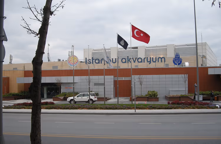 Tabela ve bayraklarla İstanbul Akvaryumu girişi