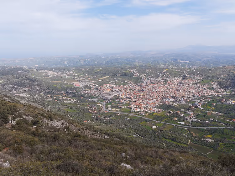 Panoramablick auf den Ort Archanes von oben inmitten von Olivenhainen