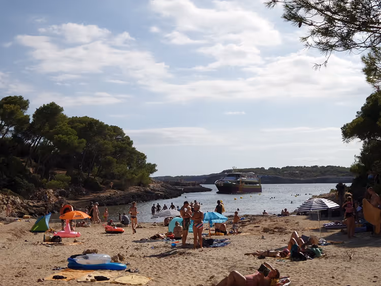Sandstrand med badende i en furukledd vik