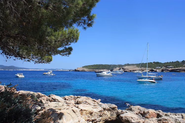 Turkise Cala Bassa-viken med yachter og furutrær