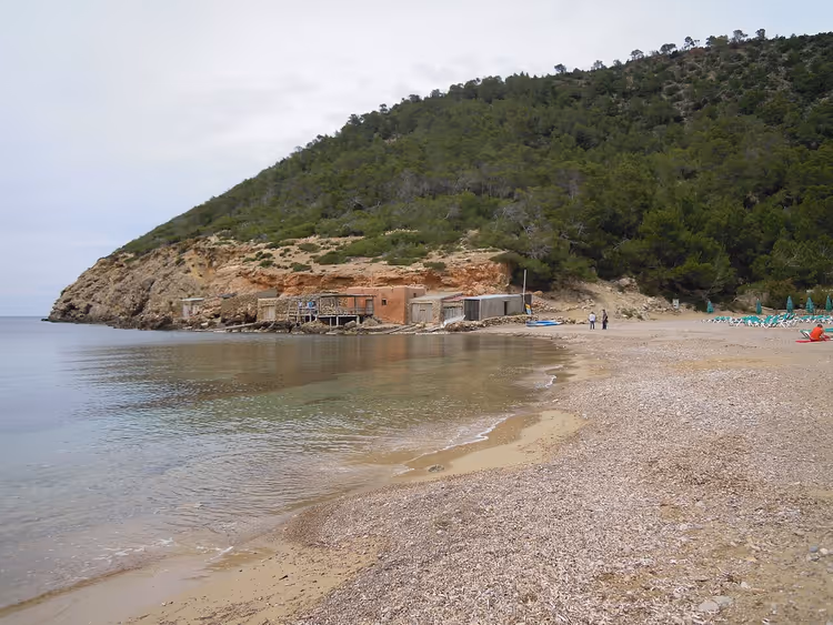 Çakıllar ve çam kaplı tepelerle Cala Benirrás plajı