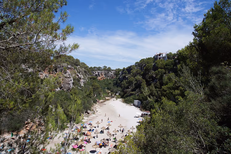 Cala Pi-stranden i en vik blant furutrær og klipper
