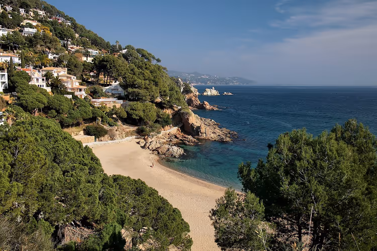 Crique de Cala Sant Francesc parmi les pins