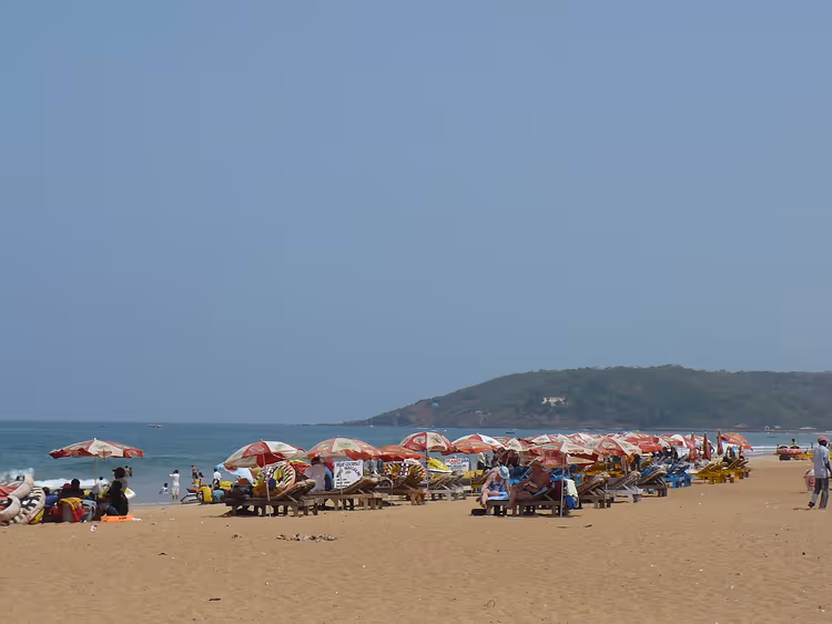 Goa'daki Calangute Plajı'nda şemsiyeler ve insanlar