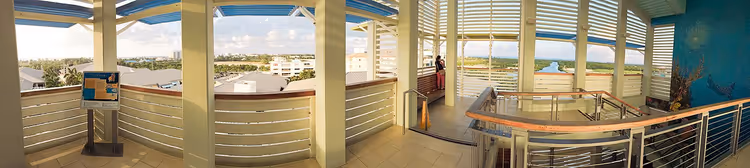 Utsiktsplattformen i Camana Bay-tårnet med panoramautsikt