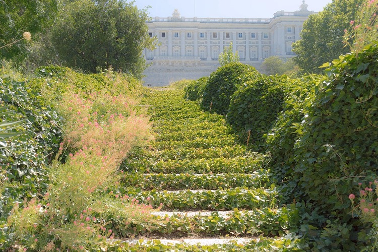 Scalinata nel verde del giardino e il Palazzo Reale