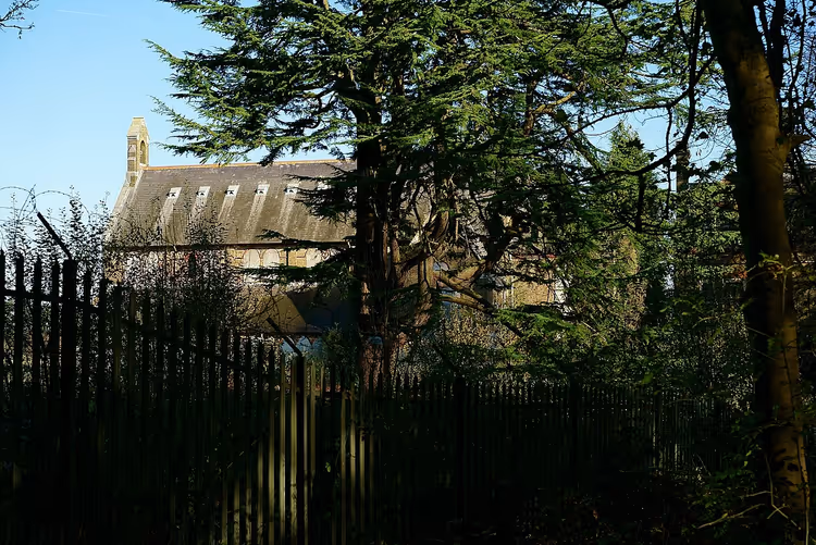 Çit ve ağaçların ardında Cane Hill Hastanesi binası