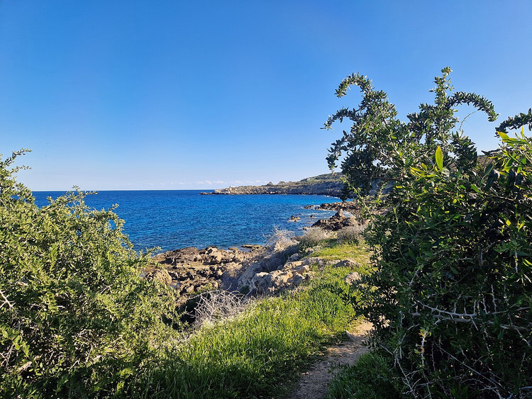 Wandelpad door groene struiken aan zee bij Cape Greco