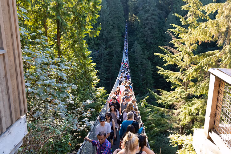 Folk som går over en lang hengebro i skogen