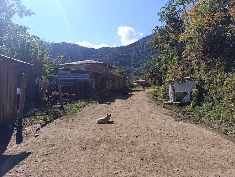 Vilcabamba dağları arasında köy yolu, evler ve bir köpek