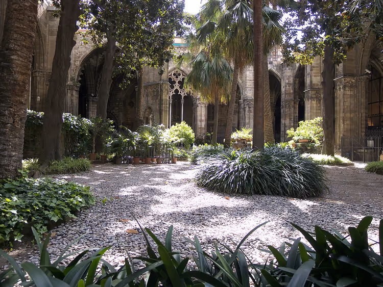 Palmbomen en gotische bogen van de kloostergang van de kathedraal
