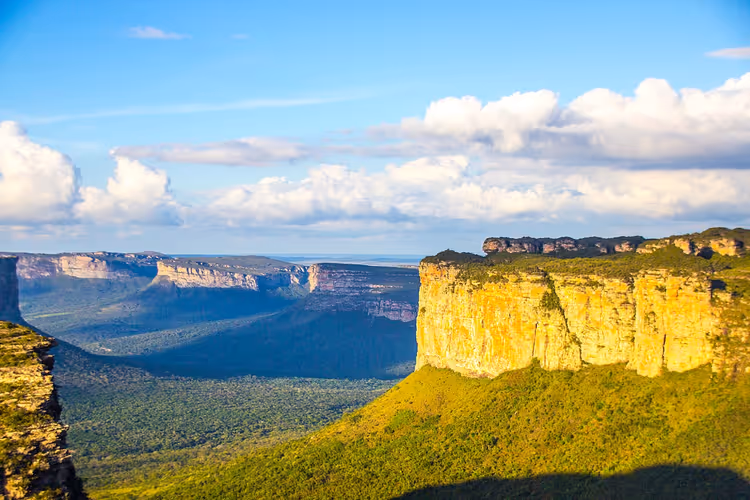 Chapada Diamantina'da kayalık plato ve yeşil vadi