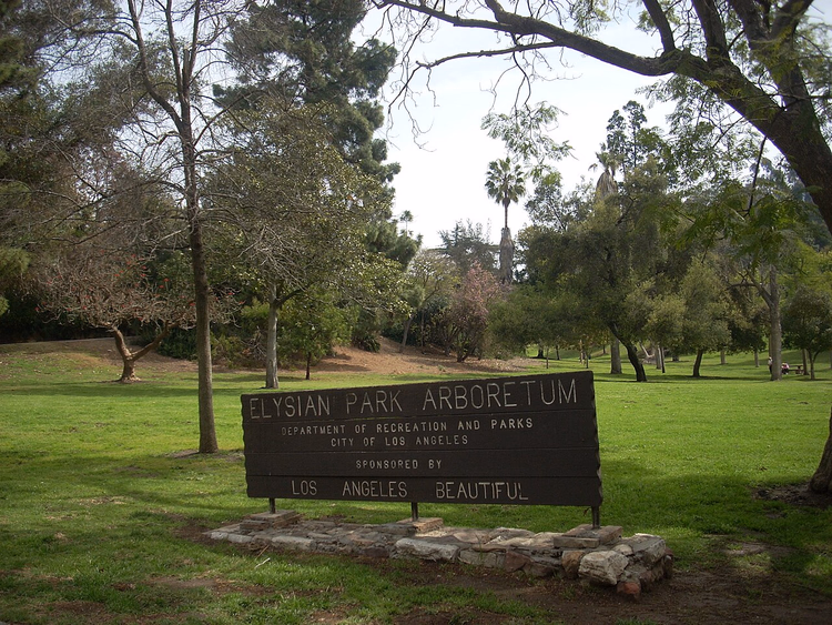 Табличка дендрария Elysian Park среди деревьев