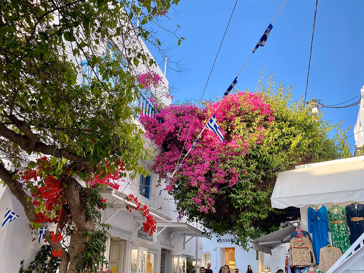 Un callejón en Chora, Miconos, con buganvillas