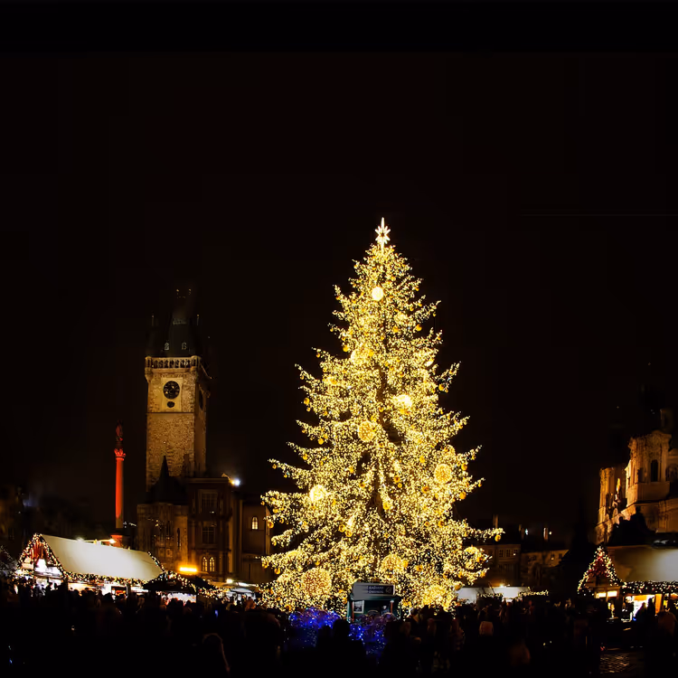 Weihnachtsbaum und Markt auf dem Altstädter Ring bei Nacht