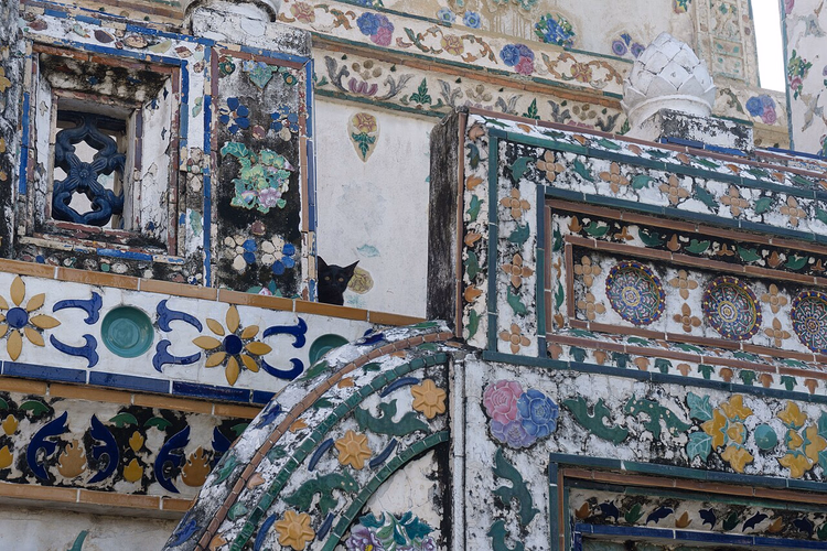 Porslinsmosaik på Wat Arun och en svart katt