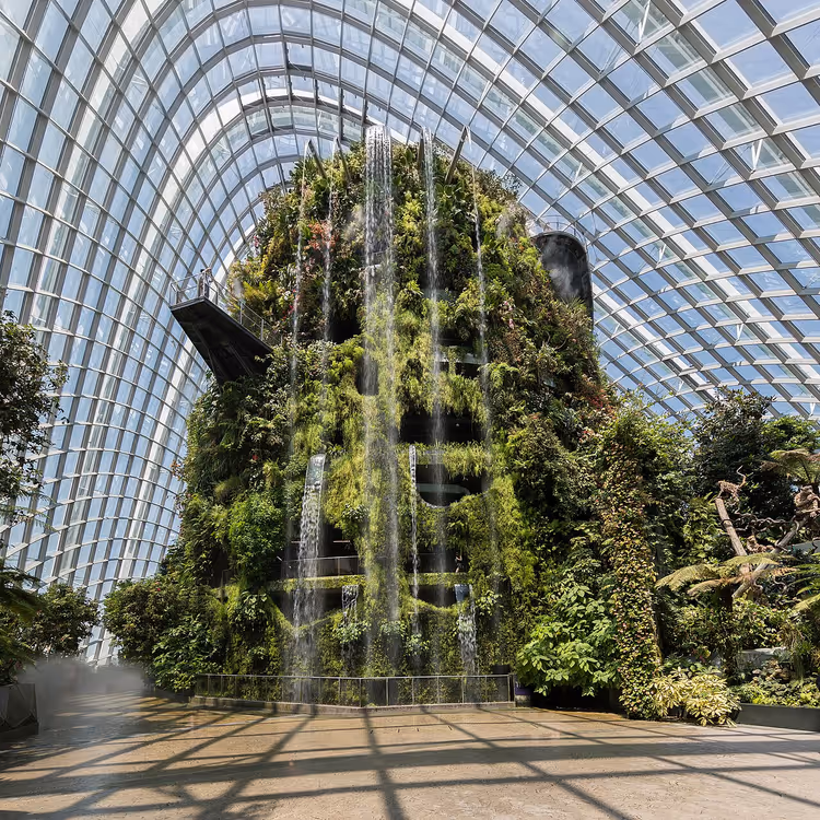 Wasserfall im Cloud Forest, Singapur