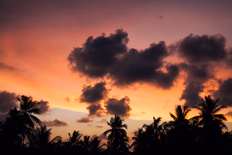 Tropische zonsondergang met palmsilhouetten tegen de lucht