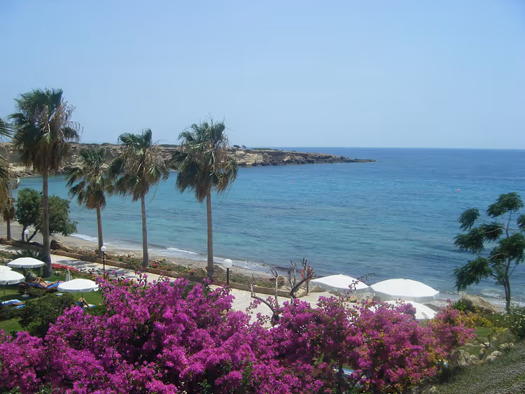 Palmiers et bougainvilliers au-dessus de Coral Bay Beach