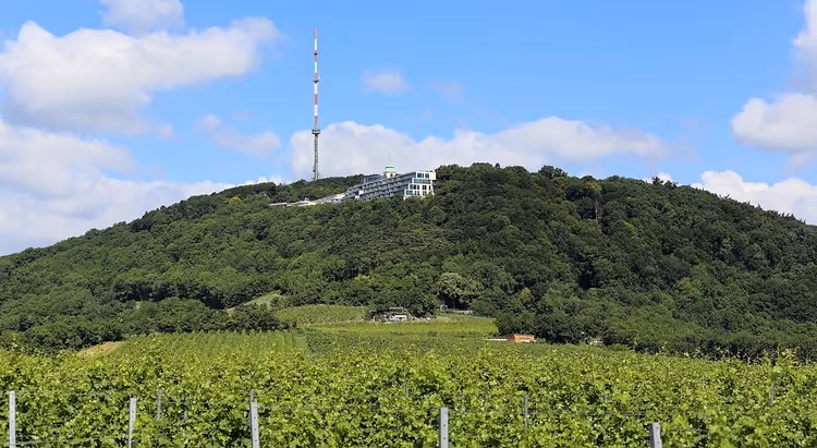 Bağlar ve radyo kulesiyle Kahlenberg manzarası