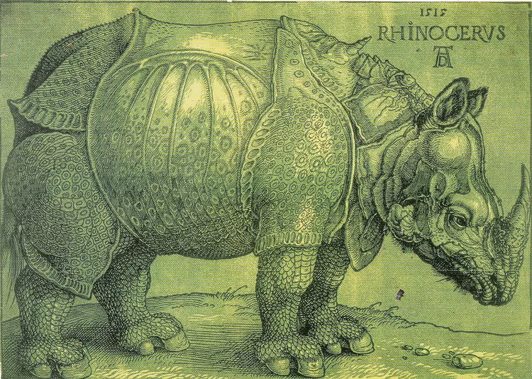 1515 yazıtlı gergedan Dürer gravürü
