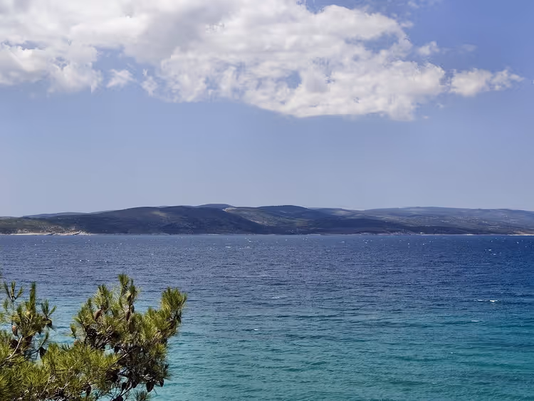 Utsikt mot øya Brač over havet med en furugrein