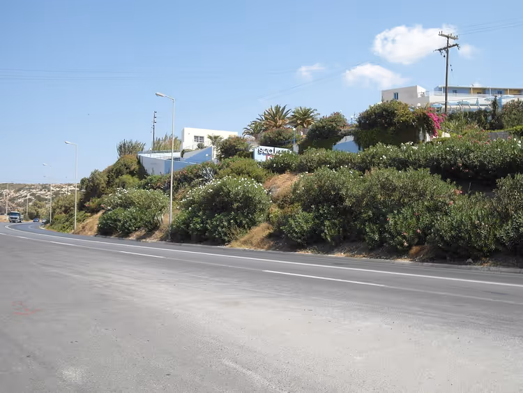 Yeşil çalılar ve evler boyunca uzanan şeritli yol