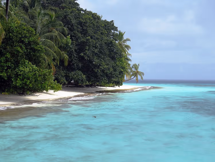 Zandbank met palmbomen en turquoise water