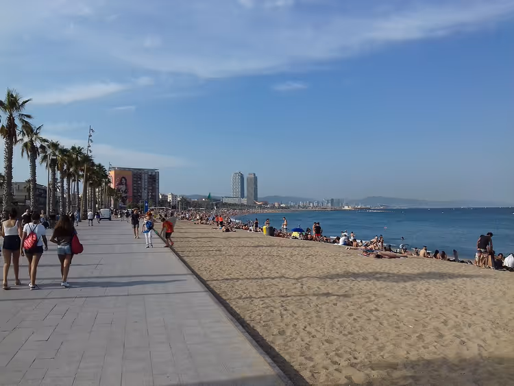 Zandstrand met een promenade, palmbomen en de zee