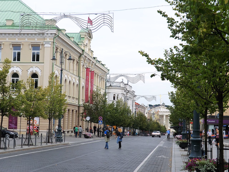Gedimino prospektas in het centrum van Vilnius in de zomer