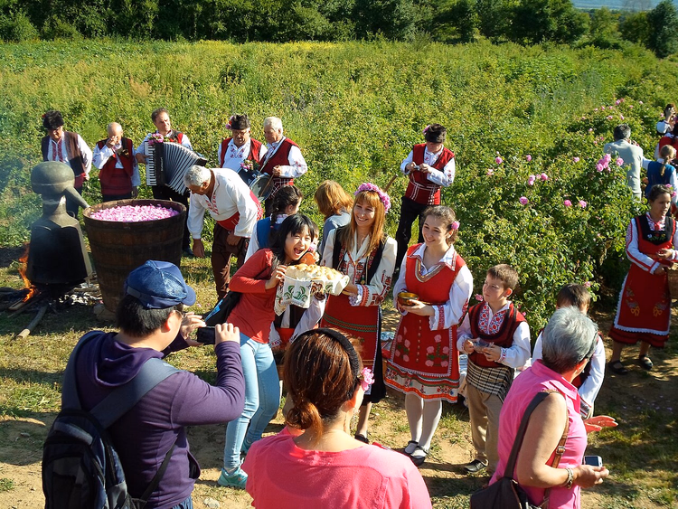 Rosenpflück-Ritual in traditionellen Trachten, Dorf Rosowo