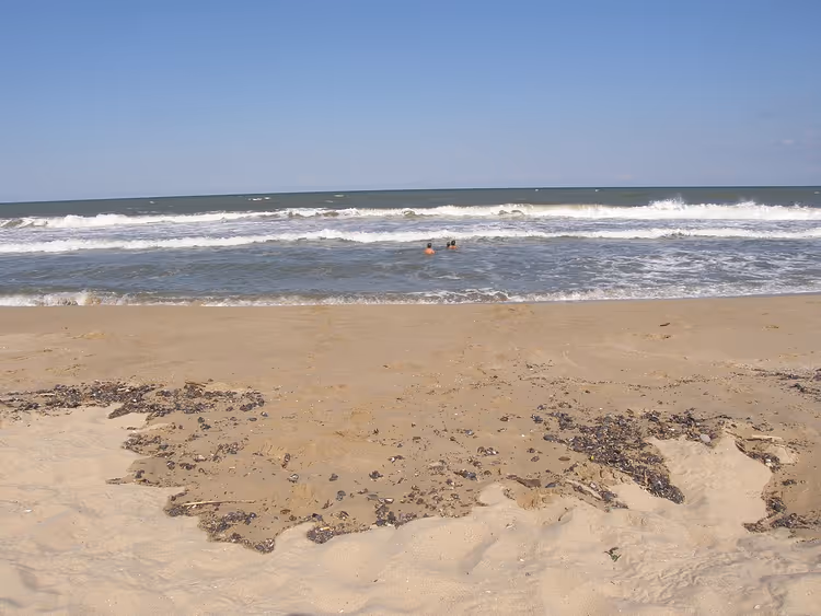 Zandstrand van Sjkorpilovtsi, golven, zwemmers