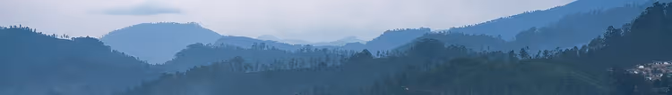 Tåkete fjellkammer i Ella på Sri Lanka