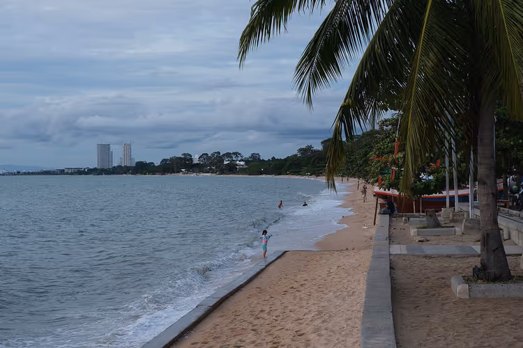 Rustig strand met palmbomen en een promenade