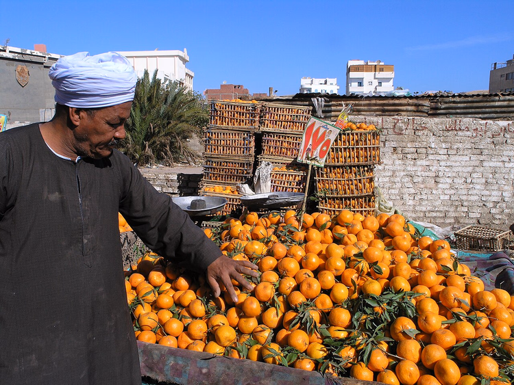 Mandarinenverkäufer auf dem Dahar-Markt in Hurghada