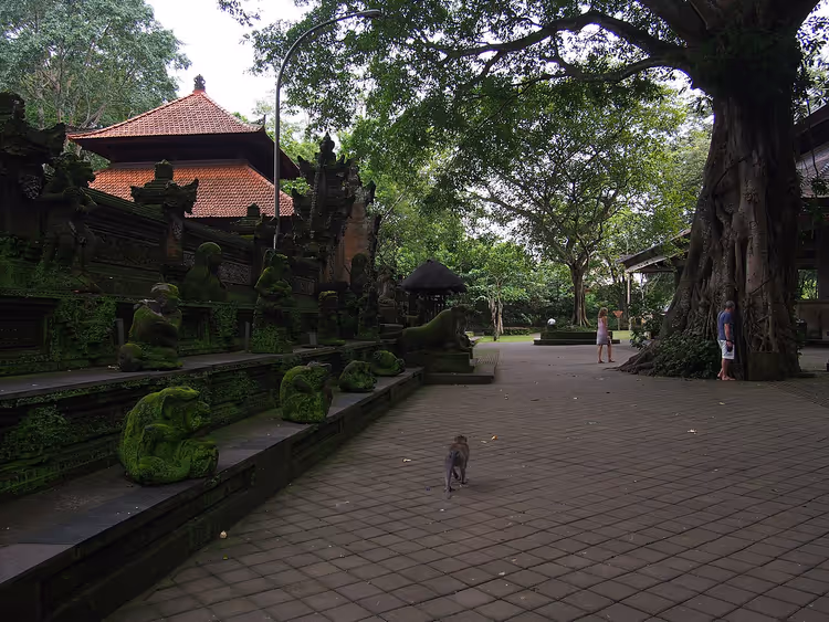 Ubud Maymun Ormanı'ndaki taş heykeller ve tapınak
