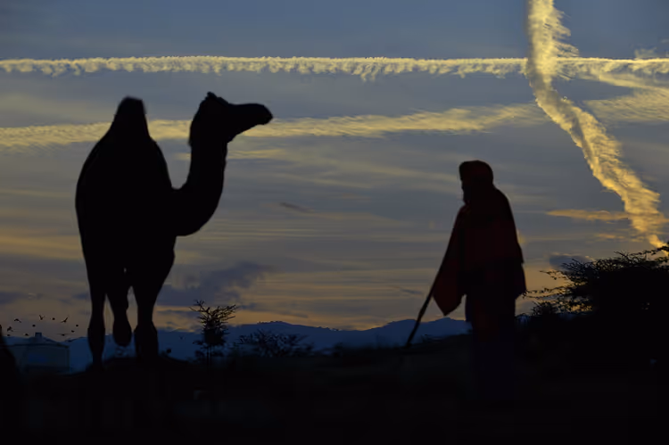 Silhouetten von Kamel und Kamelführer vor dem Abendhimmel