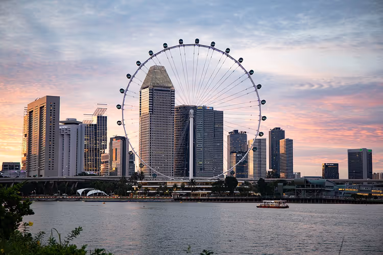 Riesenrad Singapore Flyer über der Stadt