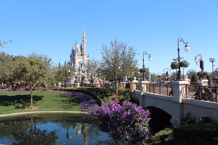 Disney World Orlando'da Külkedisi Şatosu ve köprü