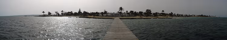 Utsikt mot sjøen fra en strand med palmer og en brygge
