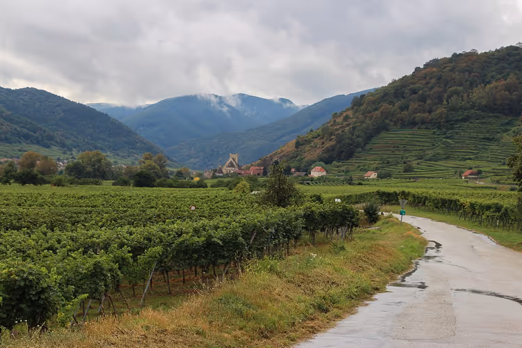 Donauradweg durch die Wachauer Weinberge