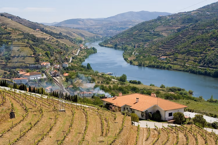 Weinberge im Douro-Tal im Herbst