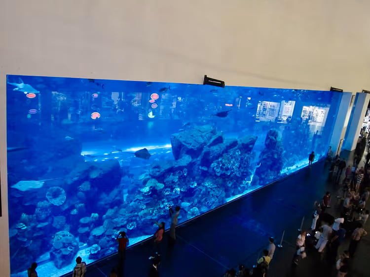 Гигантская панель Dubai Aquarium с посетителями