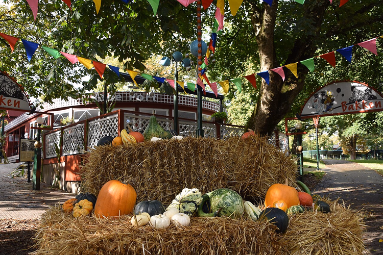 Herfstdecoratie met pompoenen bij het Bakken-paviljoen