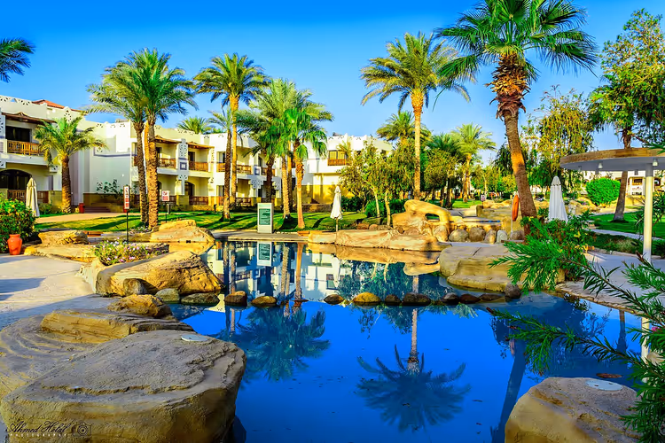 Mısır'da bir tatil köyünde havuz ve palmiye ağaçları