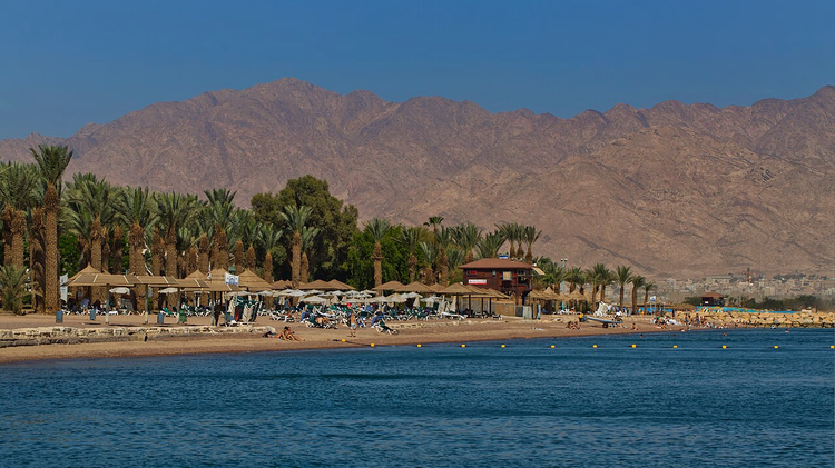 شاطئ إيلات مع أشجار النخيل أمام الجبال