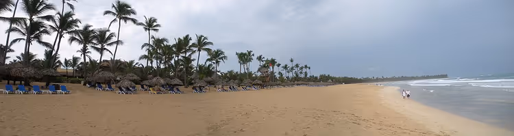 شاطئ منتجع استوائي مع أشجار نخيل وكراسي استلقاء