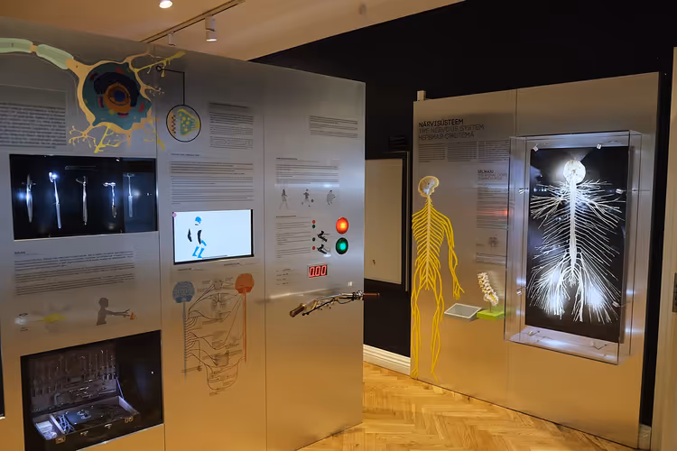 Utstilling i Det estiske helsemuseet med skjermer og modeller