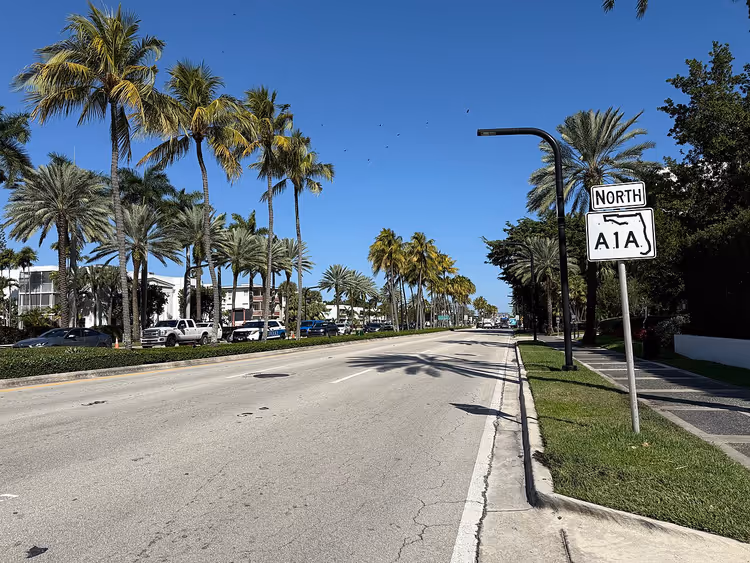 Bal Harbour, Florida'da palmiyeler arasındaki A1A otoyolu