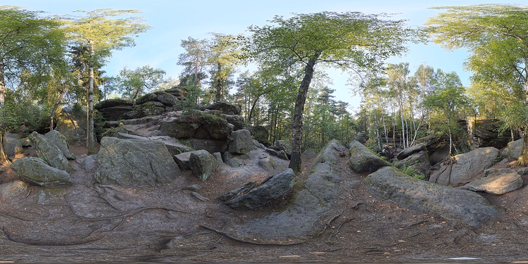 Sandsteinblöcke des Labyrinths in einem Kiefernwald